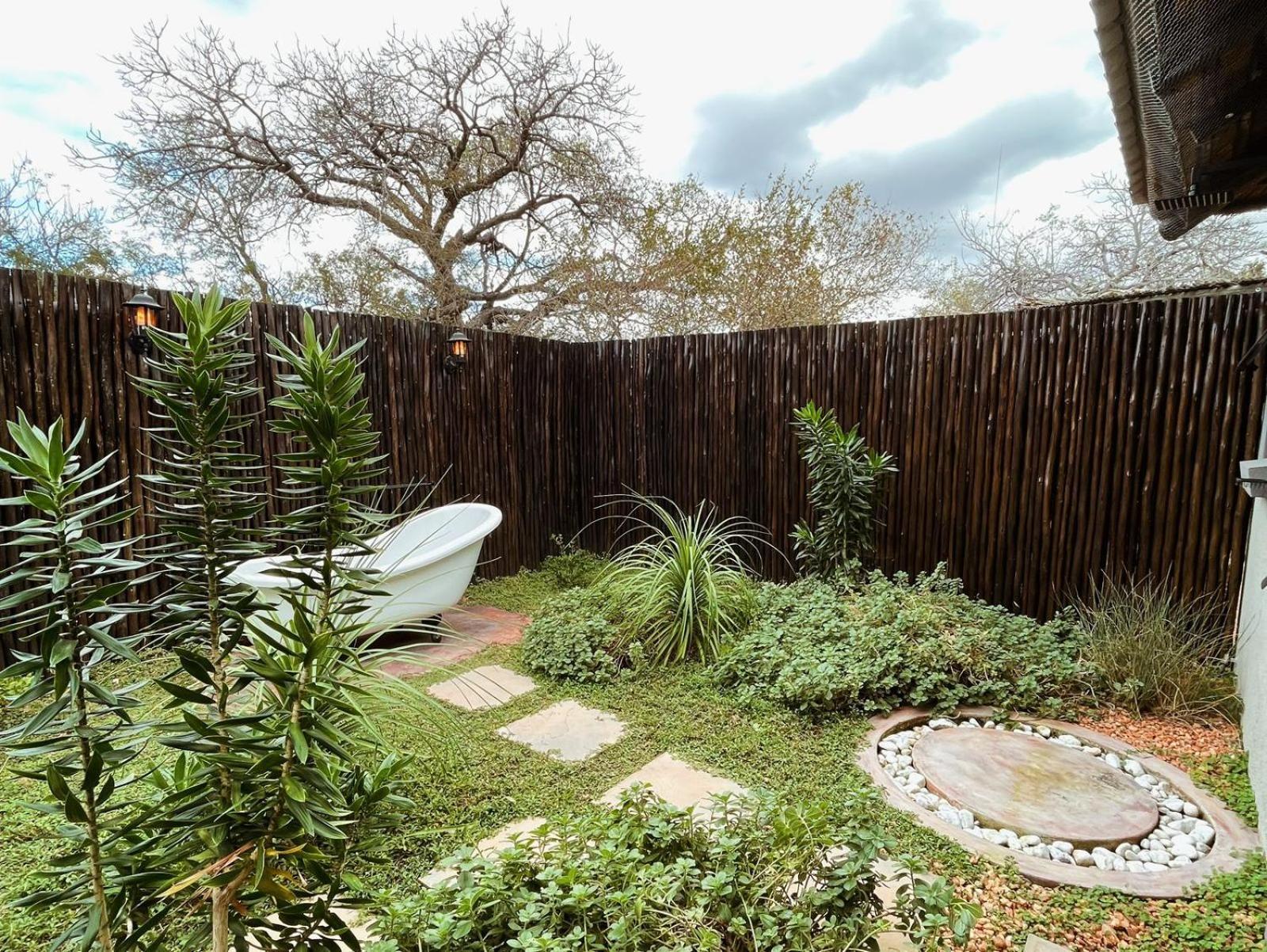 The Baobab Bush And Lodge