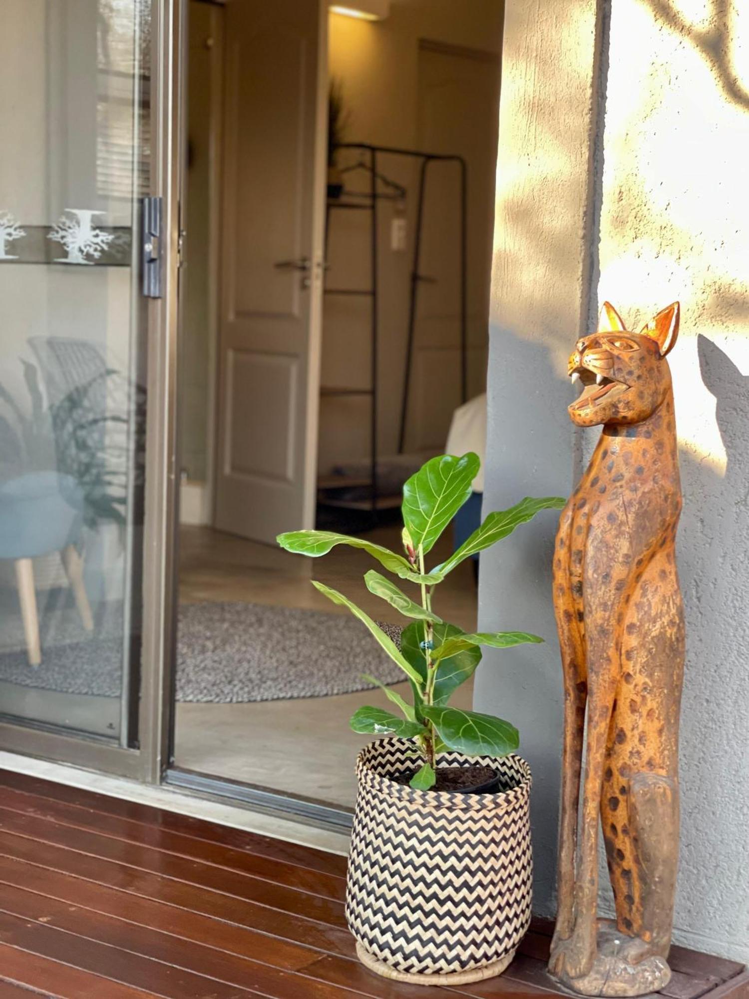 The Baobab Bush And Hoedspruit