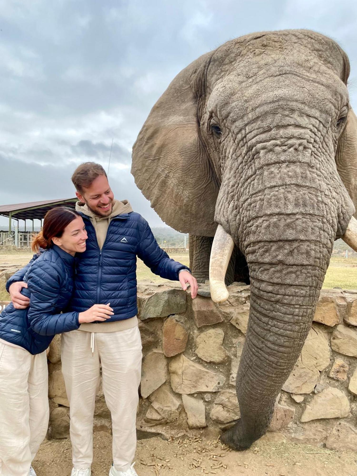 Lodge The Baobab Bush And