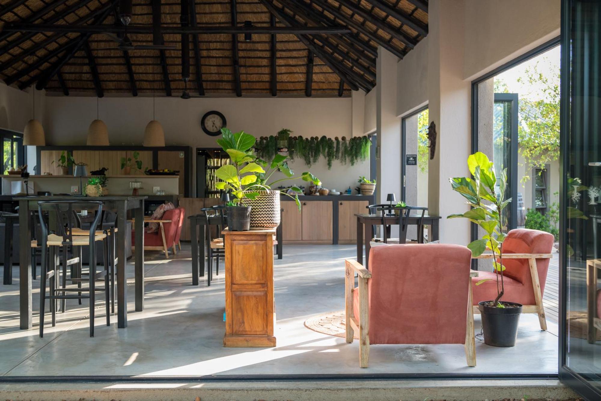 The Baobab Bush And Lodge Hoedspruit
